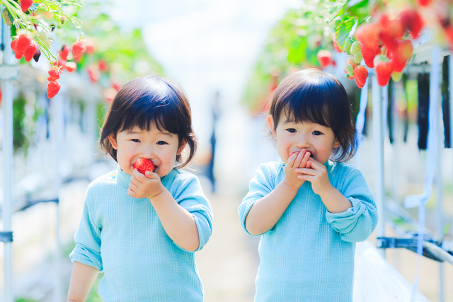 親しくなりたいときは 相手のくせを真似てみよう 模倣行動に隠された意味 一般社団法人 日本産業カウンセラー協会ブログ 働く人の心ラボ