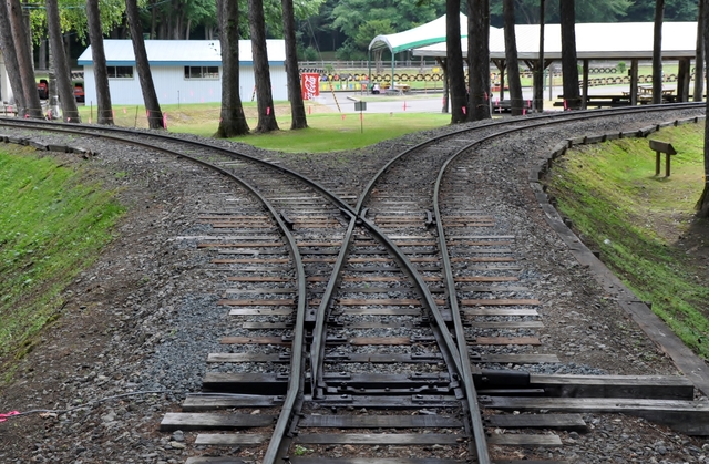 道徳心は理性ではなく感情が生み出す | 一般社団法人 日本産業